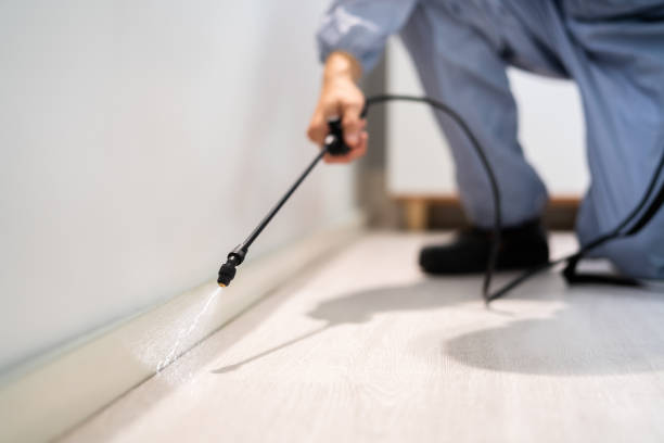 Bed Bug Pre-Treatment Preparation Assessment in West