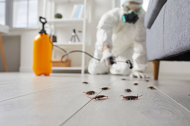 Post-Treatment Bed Bug Interceptor Monitoring in West