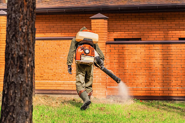 Bed Bug Clearance Verification and Documentation in West